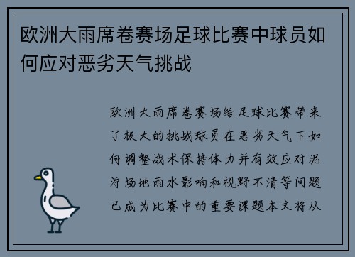 欧洲大雨席卷赛场足球比赛中球员如何应对恶劣天气挑战