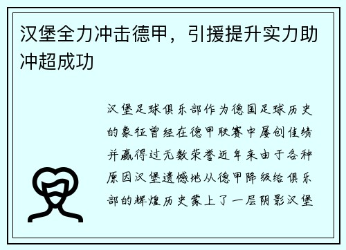 汉堡全力冲击德甲，引援提升实力助冲超成功