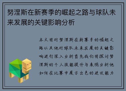 努涅斯在新赛季的崛起之路与球队未来发展的关键影响分析