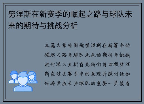 努涅斯在新赛季的崛起之路与球队未来的期待与挑战分析
