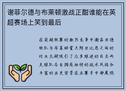 谢菲尔德与布莱顿激战正酣谁能在英超赛场上笑到最后
