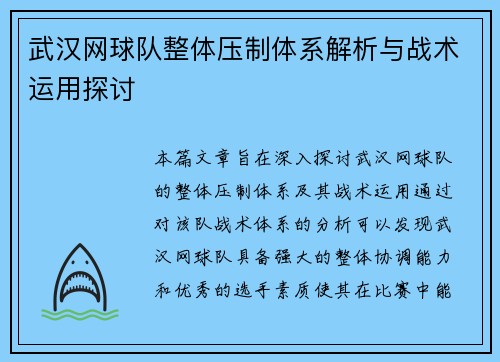 武汉网球队整体压制体系解析与战术运用探讨
